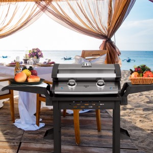 Electric Grills