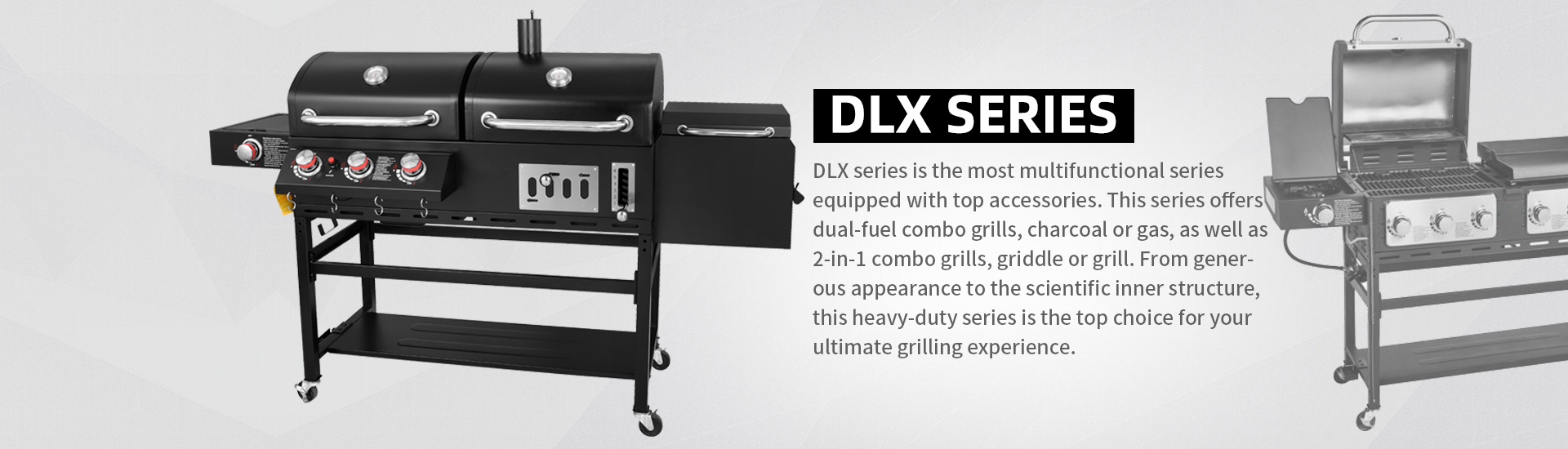 DLX Series